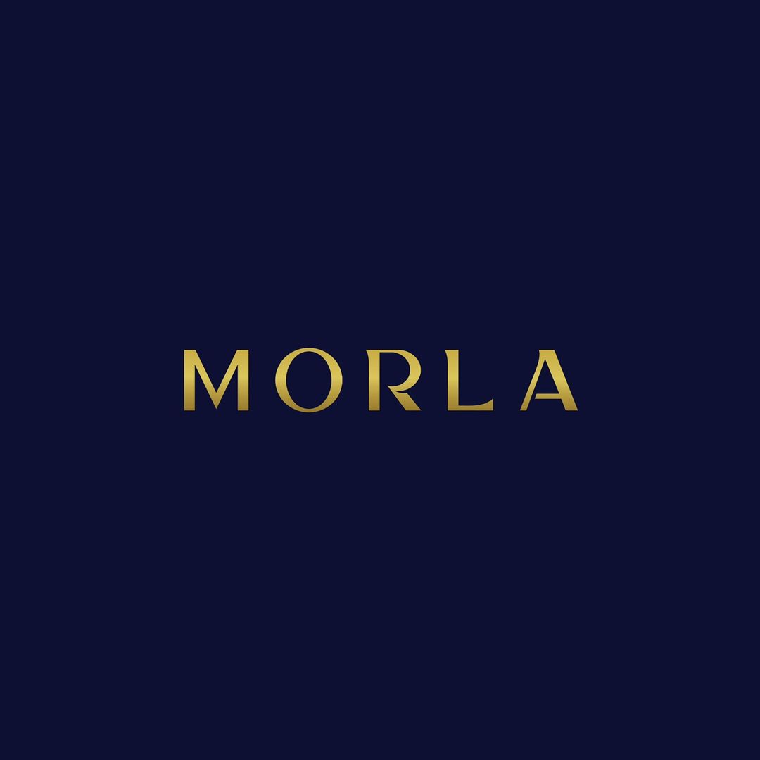 Partner Logo 1
